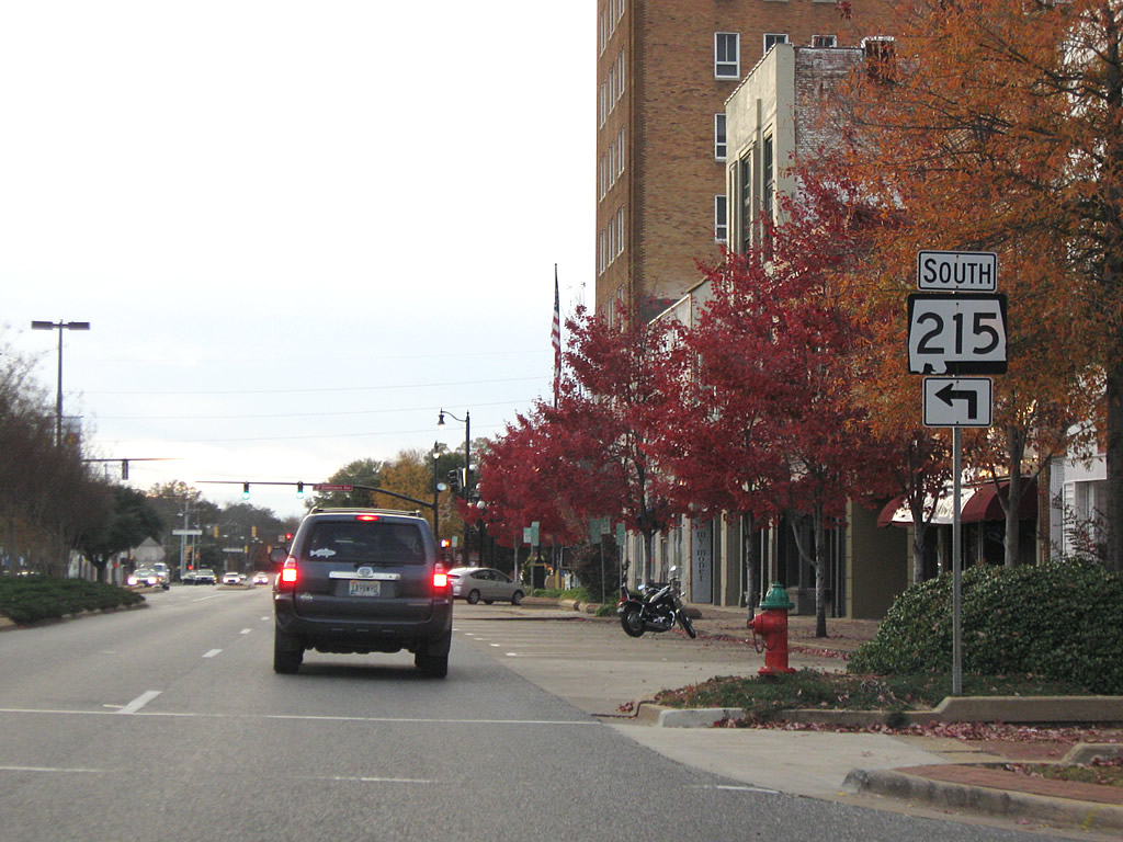 Alabama State Highway 215 sign.