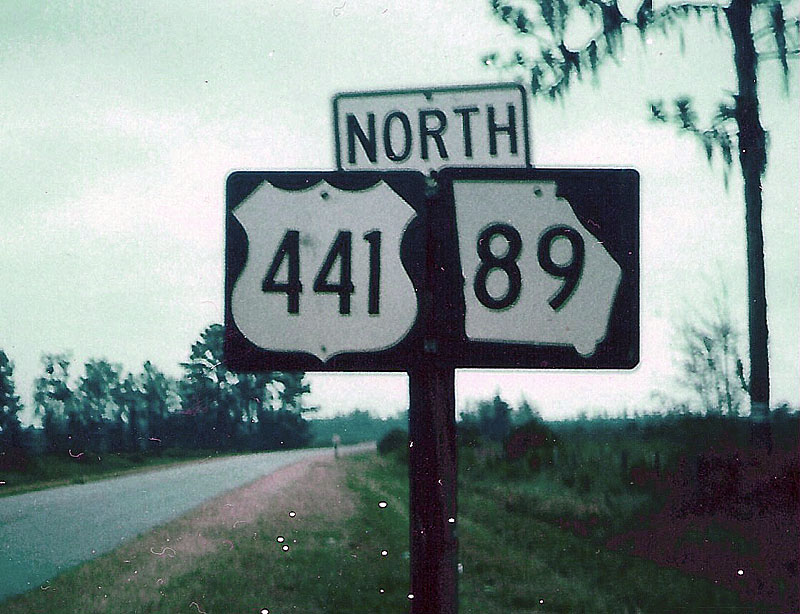 Georgia - State Highway 89 and U.S. Highway 441 sign.