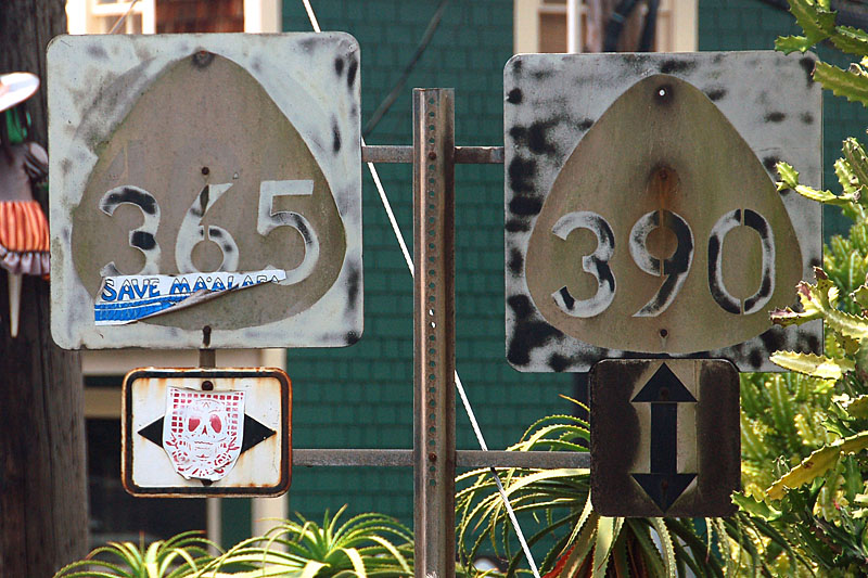 Hawaii - State Highway 365 and State Highway 390 sign.