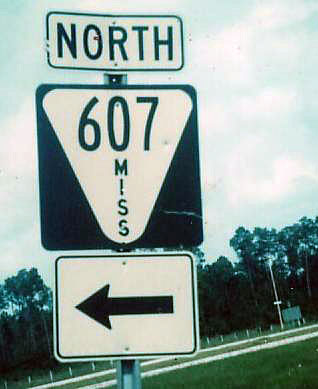 Mississippi State Highway 607 sign.