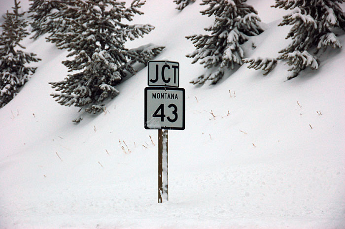 Montana State Highway 43 sign.