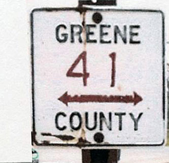 New York Greene County route 41 sign.