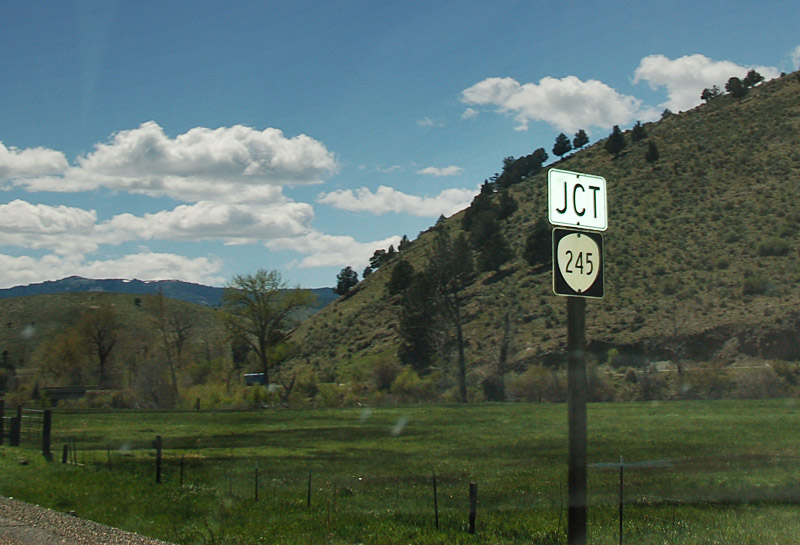 Oregon State Highway 245 sign.