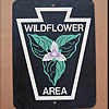 wildflower area thumbnail PA20010231