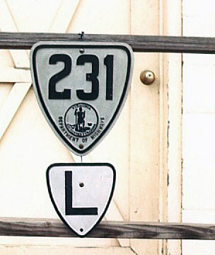 Virginia - State Highway 231 and state route left turn marker sign.