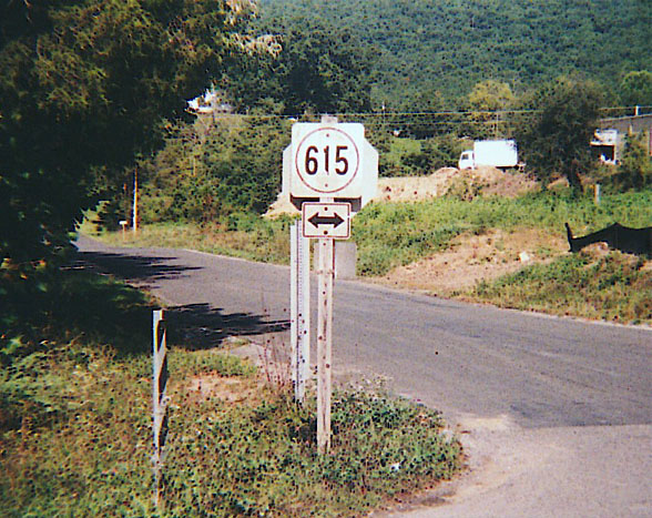 Virginia state secondary highway 615 sign.