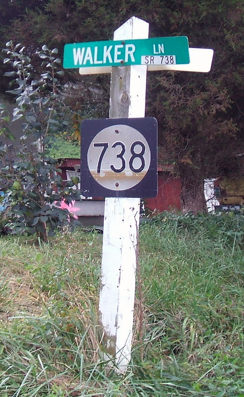 Virginia state secondary highway 738 sign.