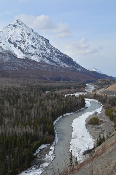 The Matanuska River at the Chickaloon River in Chickaloon, AK