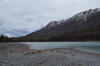 Looking down river along the Kenai at Cooper Landing, Alaska