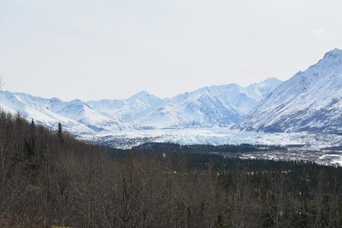 Matanuska Glacier