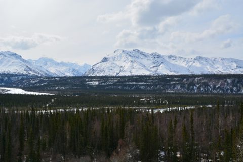 Glacier Creek west of Mount Wickersham
