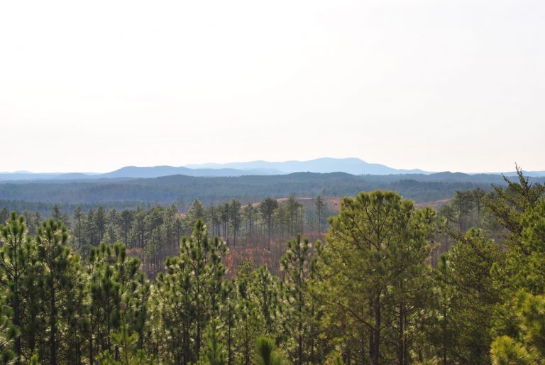 Horseblock Mountain Scenic Overlook