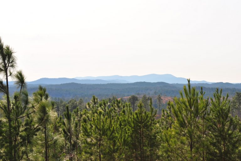 Horseblock Mountain Scenic Overlook
