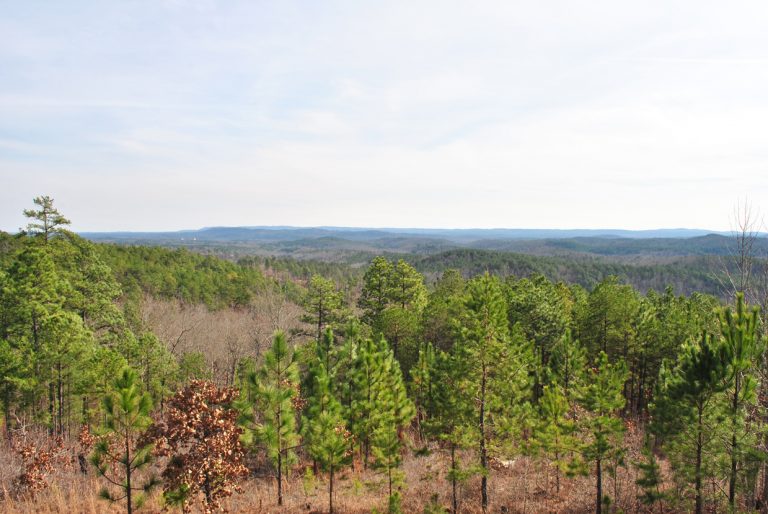 Horseblock Mountain Scenic Overlook