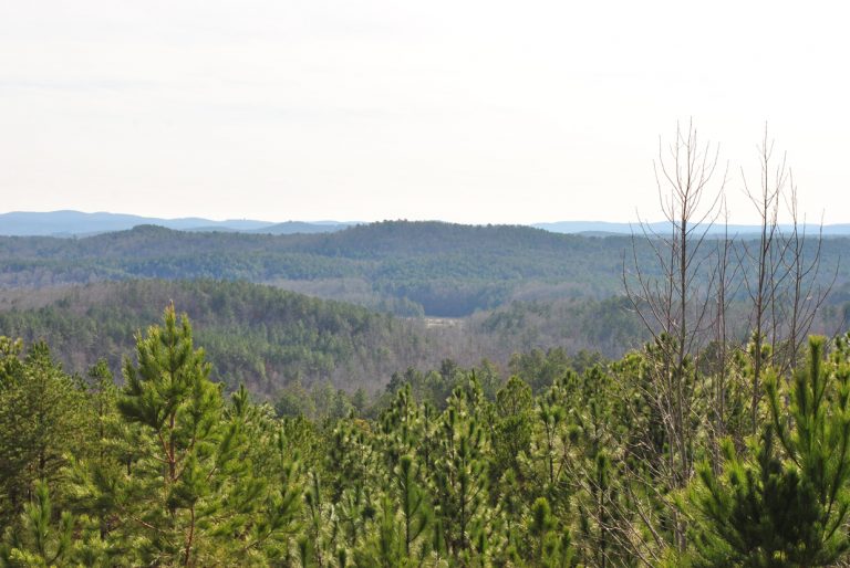 Horseblock Mountain Scenic Overlook