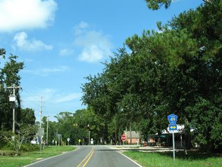 CR 49 South ends at Bon Secour Fisheries, Inc. on the Bon Secour River to the southeast and otherwise stems west to CR 49 north at Skunk Bayou. Other branches of CR 49 lead northward to Steelwood in north Loxley.