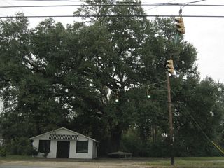 Fillingham Street east at Stanton Road. Stanton Road continues north into the city of Prichard city to the Beltline Highway alongside I-65.