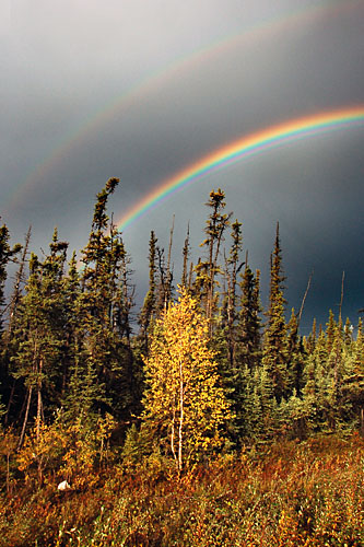 Alaska state route 3