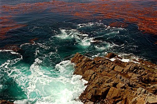 La Bufadora Pacific ocean