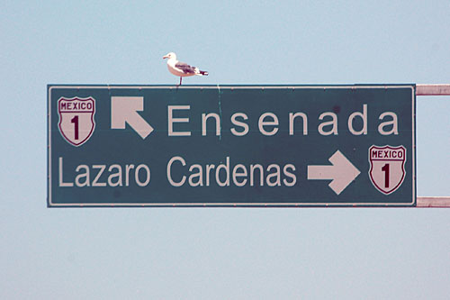 Baja California 1 at Mexico federal route 1
