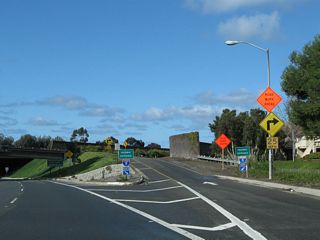 Camino Las Ramblas west as it passes through the Interstate 5 interchange and merges with the transition ramp from Interstate 5 north to California 1 north. Camino Las Ramblas has a connecting ramp to Interstate 5 north, followed by a loop ramp to Interstate 5 south. The ramps merge together to form the northbound mainline for California 1.
