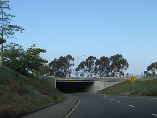 The transition ramp between Interstate 5 north and California 1 north passes under Camino Las Ramblas before the two merge together to form the Pacific Coast Highway.