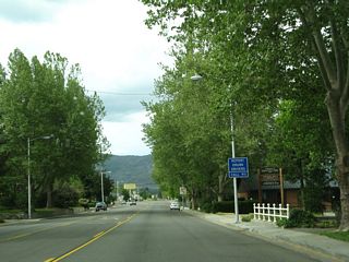 Trees line both sides of Main Street in Yreka.