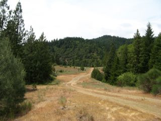Abandoned section of I-5 near Gibson, CA