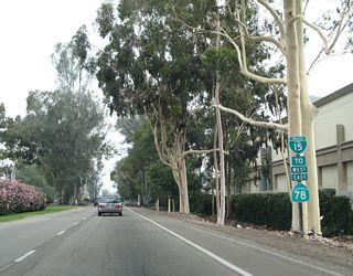 The trailblazer for SR 78 and confirming marker for Business Loop I-15 north posted after San Diego County Route S-6 (Valley Parkway) were removed by 2009.