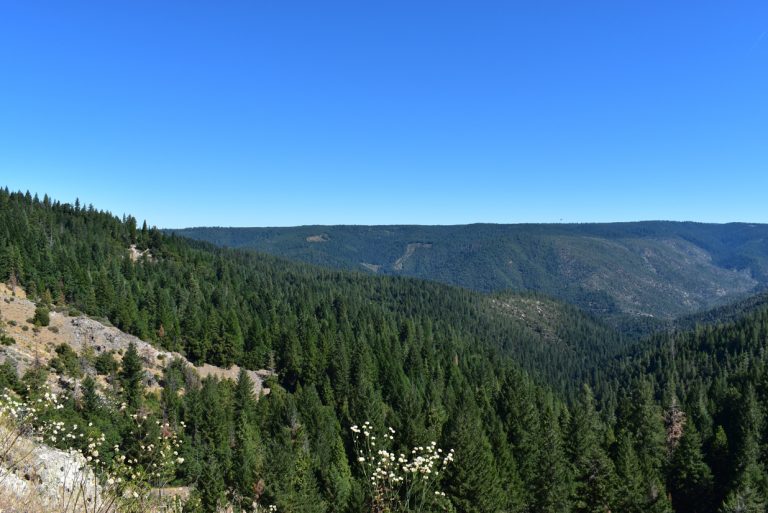 Jefferson Creek Scenic Overlook