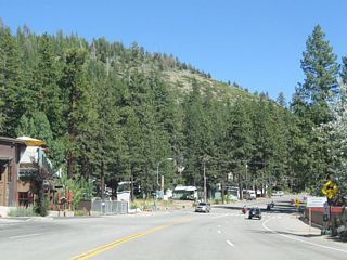 Tall trees line eastbound California 28 (North Tahoe Boulevard) as we leave Kings Beach.
