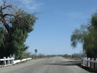 Since this is the best chance for water, clusters of trees grow by the wash. This wash is 1.1 miles east of the Chuckwalla Road dead end.