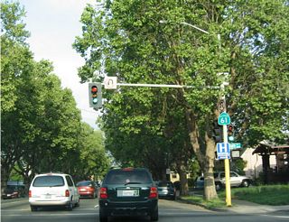Lush trees and foliage dominate the urban residences along California 61 (Central Avenue) as it passes through the heart of Alameda.