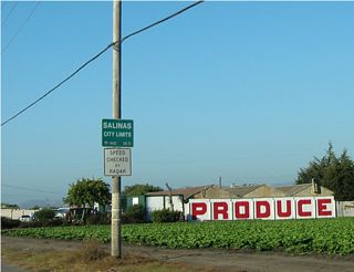 Incorporated in 1872, the city of Salinas is perhaps most famous as the home of author John Steinbeck, author ofThe Grapes of Wrathand many other novels and short stories. Salinas was named for a nearby salt marsh and has about 14.4 inches of precipitation per year. Agriculture reigns in this community, as farms are a key economic engine to this region. Home to 143,920 people in 2000, Salinas is expected to continue to grow dramatically in the coming years.