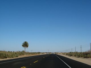 After crossing the East Highline Canal, eastbound California 98 leaves the agricultural fields of the Imperial Valley and enters the undeveloped desert. A lone palm tree comes into view on the north side of the two-lane highway.