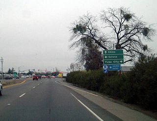 Heading into the metropolitan Yuba City-Marysville area, California 99 widens into four lanes as it passes through a commercial area. This photo shows northbound California 99 approaching California 20. Note the lack of a California 20 shield on the advance signs. Between 1954 and 1964, this section of California 99 was signed as U.S. 40 Alternate. The alternate route then turns east via California 20 between Yuba City and Marysville.