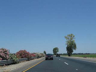 California 99 continues through more agricultural lands between Avenue 184 and Avenue 200.