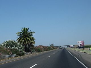 The symbolic separation between Southern California and Northern California is midway between Exits 147 and 151 along SR 99 and approximately halfway between the international border and Oregon state line. A palm signifies the south, while a pine tree signifies the north. The original pine tree fell in 2005, but a replacement tree grew in its place as seen in this picture. No one knows how the pine and palm were originally planted in the freeway median, and despite freeway expansion plans that might have threatened the trees, they are now preserved by Caltrans (Hall, 2010) (North Fork Chamber of Commerce, n.d.).