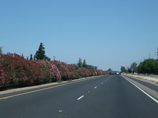 This view looks north along California 99 between Woodbridge Road and Acampo Road.