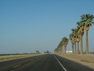 A row of palms line the south side of California 78 east and California 115 south.