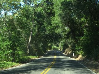 Sage Canyon Road resembling a canopy road.
