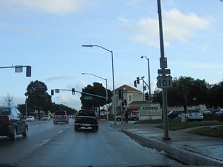 Prior to the Alvin Avenue intersection is this reassurance shield for U.S. 101 Business; California 135 is omitted.