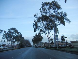 Another pair of California 135 and U.S. 101 Business shields are posted along southbound Broadway after the Stowell Road intersection.