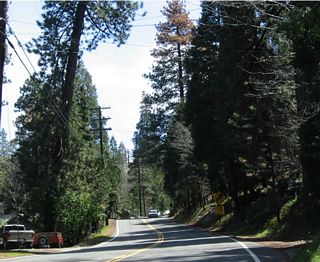 The immediate area around Crestline was spared from the Old Fire of October 2003. However, many dead and dying trees remain visible among the green, lush trees of the forest as California 138 passes through the outskirts of Crestline.