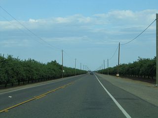 Orchards and agricultural fields line both sides of California 140 as the state highway approaches Gustine.