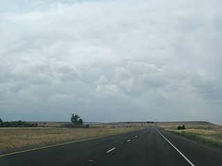 California 149 finishes as a freeway as it approaches the California 99 interchange. Stay left for Exit 5A, California 99 south to Yuba City, or stay left for Exit 5B, California 99 north to Chico and Red Bluff.