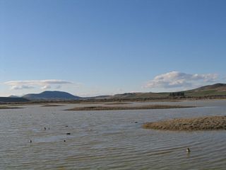 This view shows the Lower Klamath Wildlife Refuge looking north from California 161. Birds of all kinds rest on their migratory journeys at the refuge, which includes countless ponds and wetlands as well as Lower Klamath Lake.
