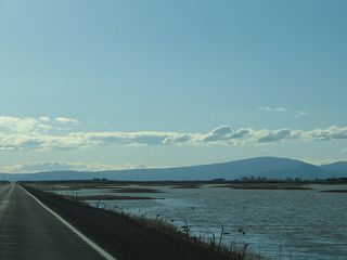 During this wet winter, the pools of water tended to be full. Birds were swimming on both sides of the highway.