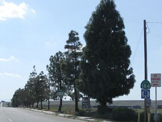 This is the first California 184 south reassurance shield after the California 178 intersection.