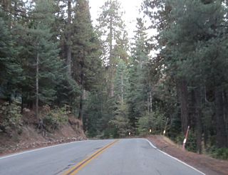 Scenes like this represent the character of SR 189: deeply forested lands on both sides of the highway with occasional driveways into private properties/residences.